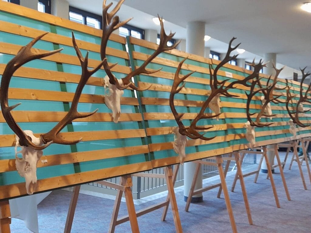 Jäger in grünem Wald mit Jagdhund