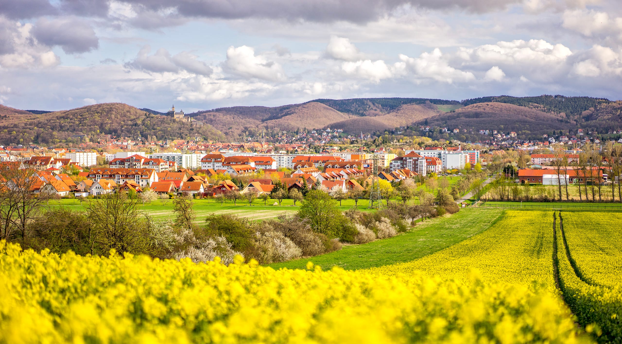 Frühlingslandschaft mit blühenden Rapsfeldern und Stadtansicht.