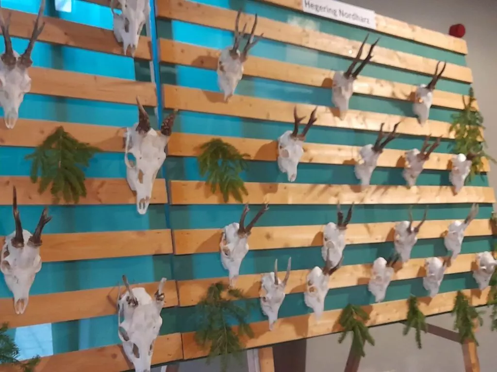 Ausstellung