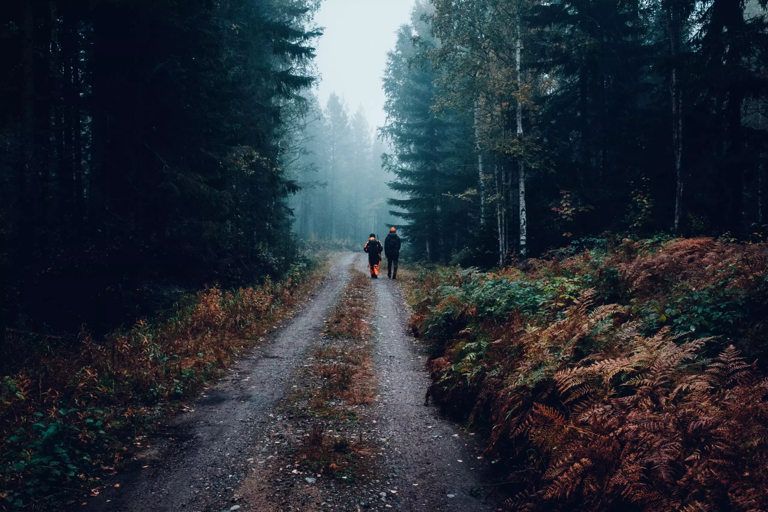 Wanderer im nebligen Waldweg.