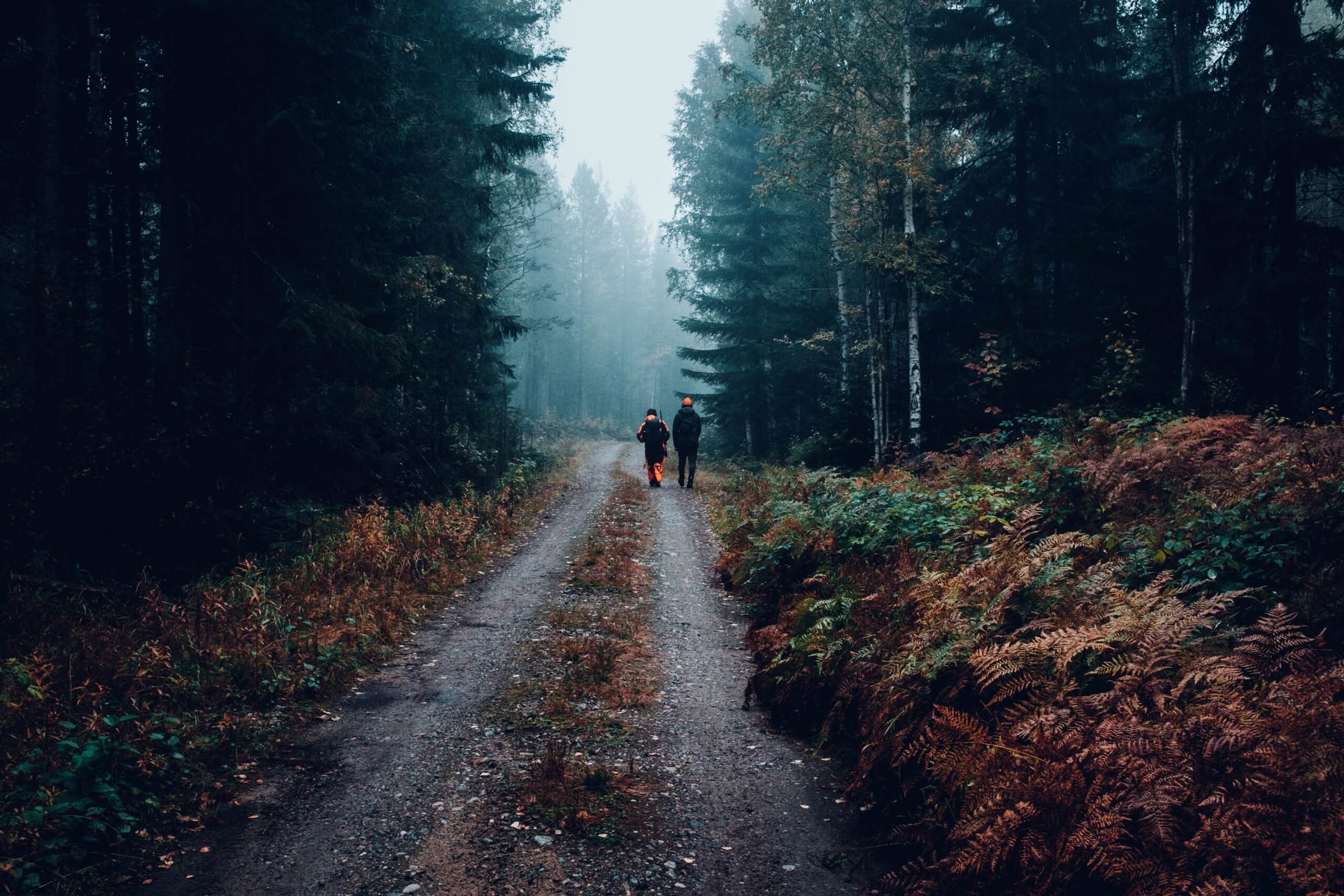 Wanderer im nebligen Waldweg.