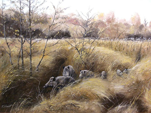 Herbstlandschaft mit Wildschweinen im Gras.