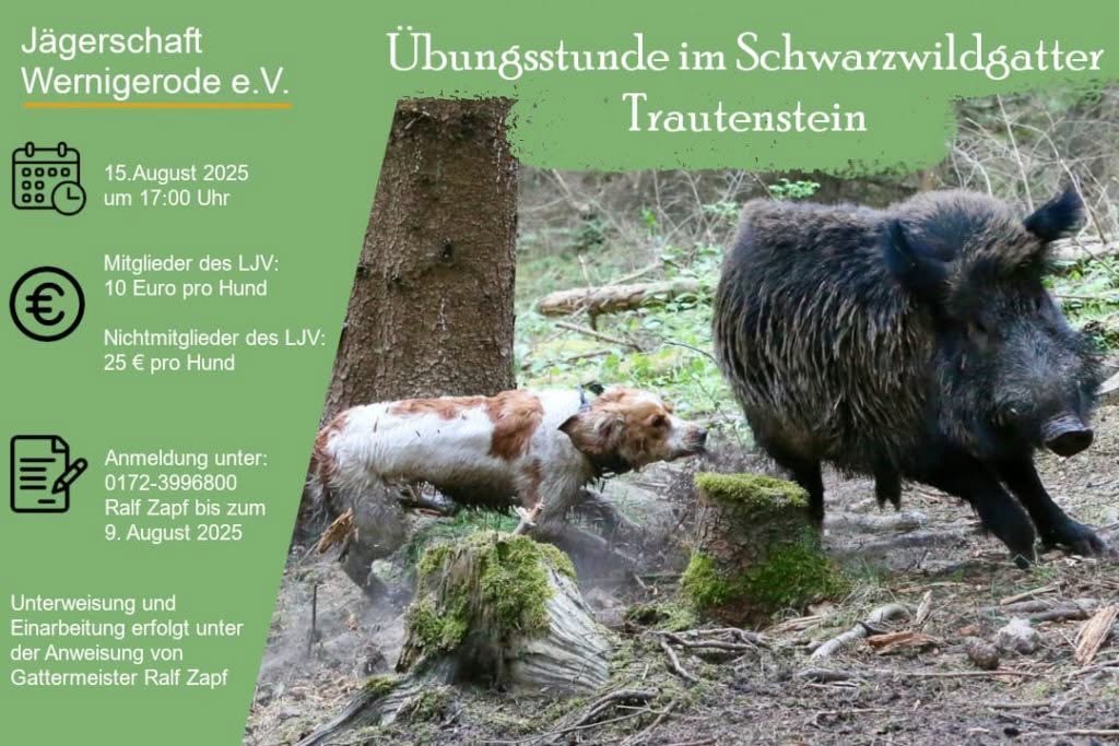 Übungsstunde im Schwarzwildgatter Trautenstein